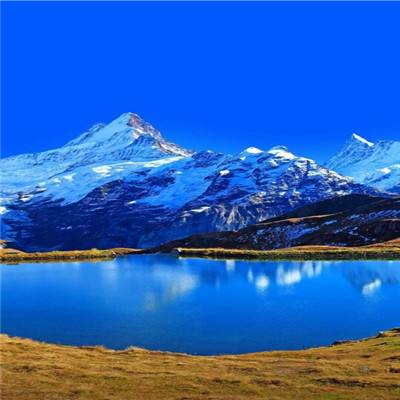 乐鱼·(LEYU)体育官方网站