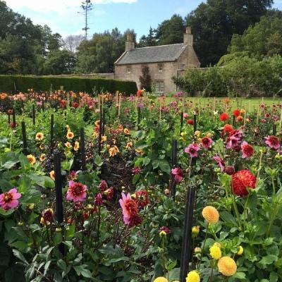 246天天好彩app下载