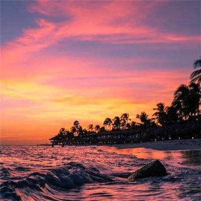 亚新下载手机版