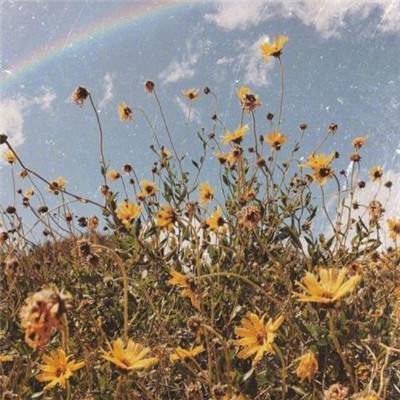 博鱼·体育中国入口