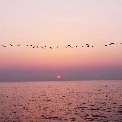 全民彩票app下载