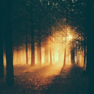 pg娱乐电子游戏官网下载手机版